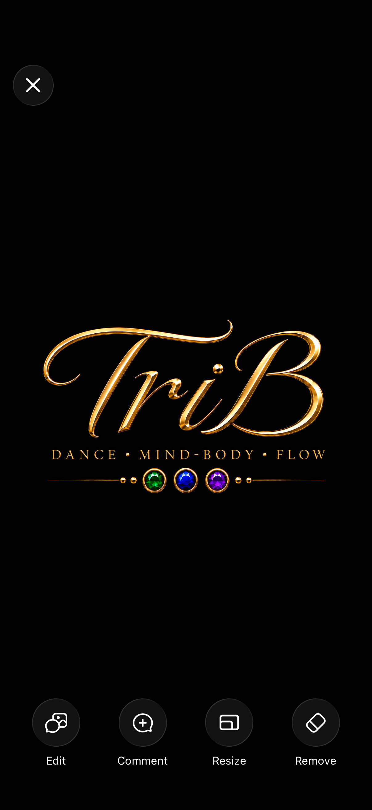 TriB — Dance, Mind-Body, Flow